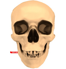 Череп | STL - 3D модель для ЧПУ